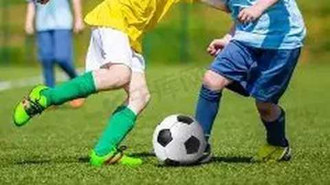 雷竞技RAYBET官方网站 资讯 101353 wyl