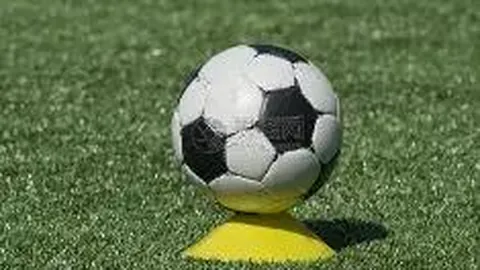 雷竞技RAYBET官方网站 产品 091155 gom